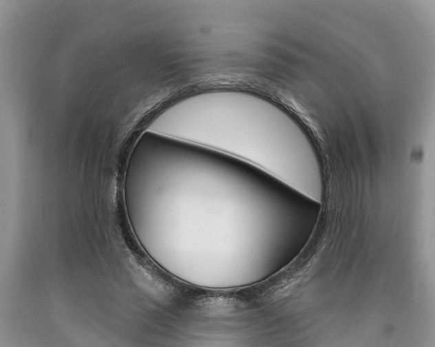 X0000090770637200707201115