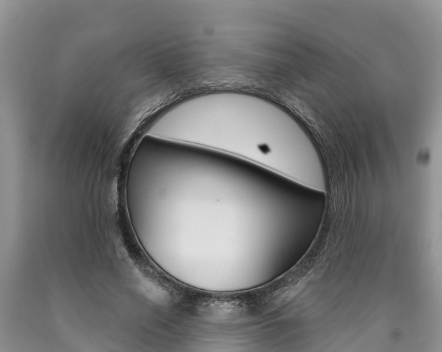 X0000090770638200707201115