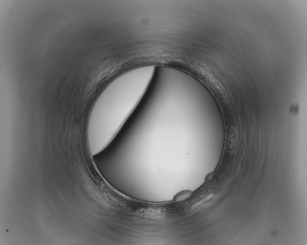 X0000090770639200707201115