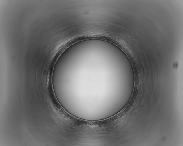 X0000090770640200707201115
