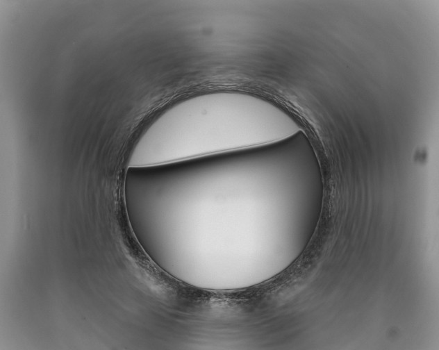 X0000090770641200707201115