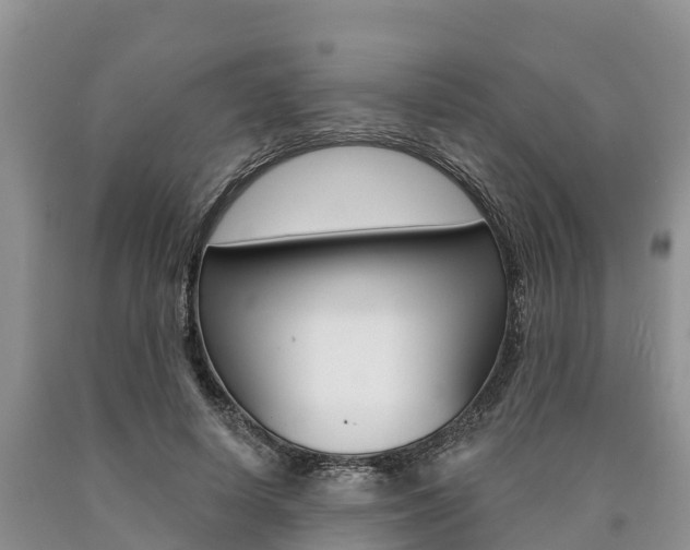 X0000090770642200707201115