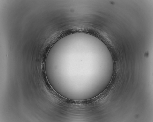 X0000090770645200707201115