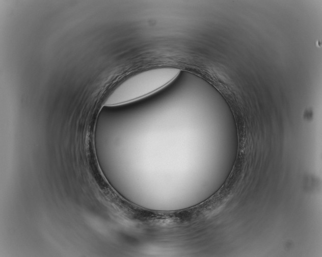 X0000090770646200707201115