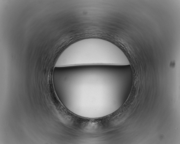 X0000090770647200707201115