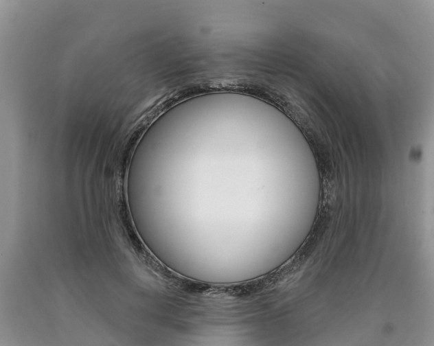 X0000090770648200707201115