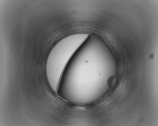 X0000090770649200707201115