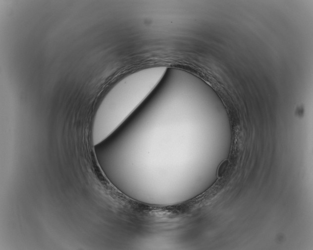 X0000090770650200707201115