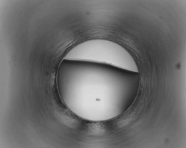 X0000090770652200707201115