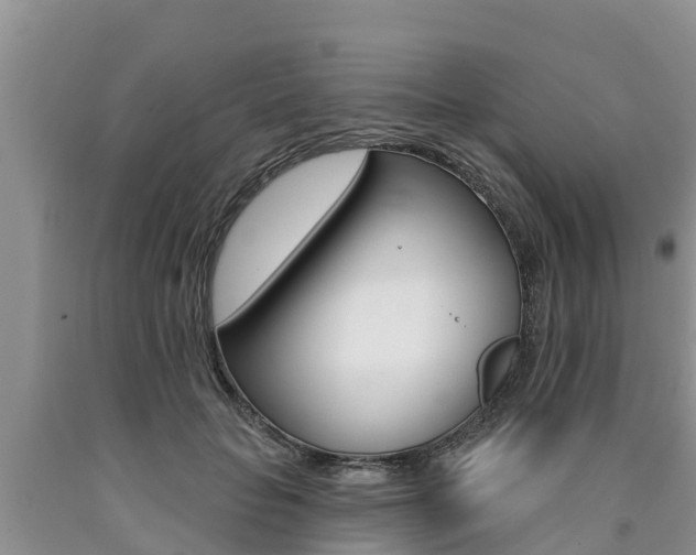 X0000090770653200707201115