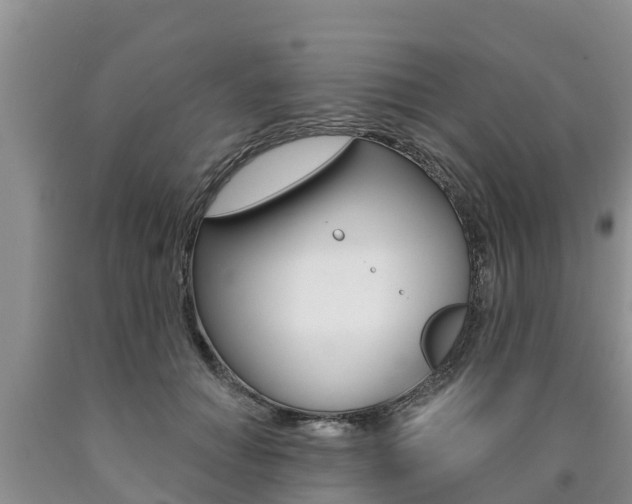 X0000090770654200707201115