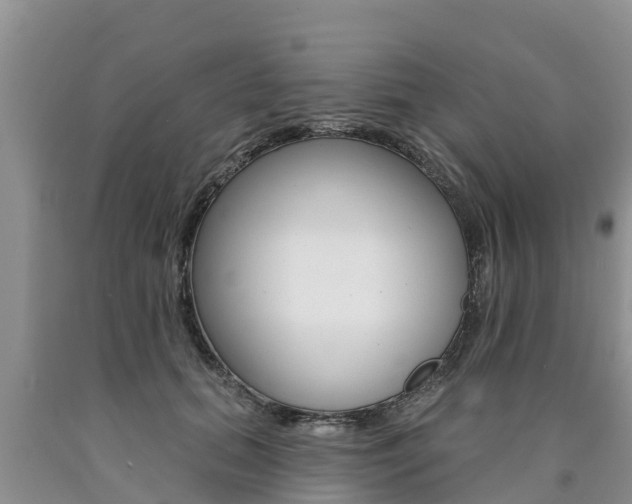 X0000090770655200707201115
