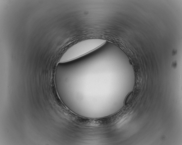 X0000090770656200707201115