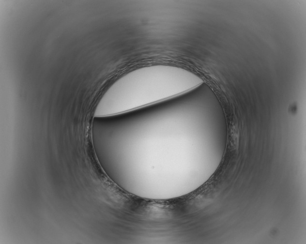 X0000090770657200707201115