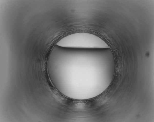 X0000090770658200707201115