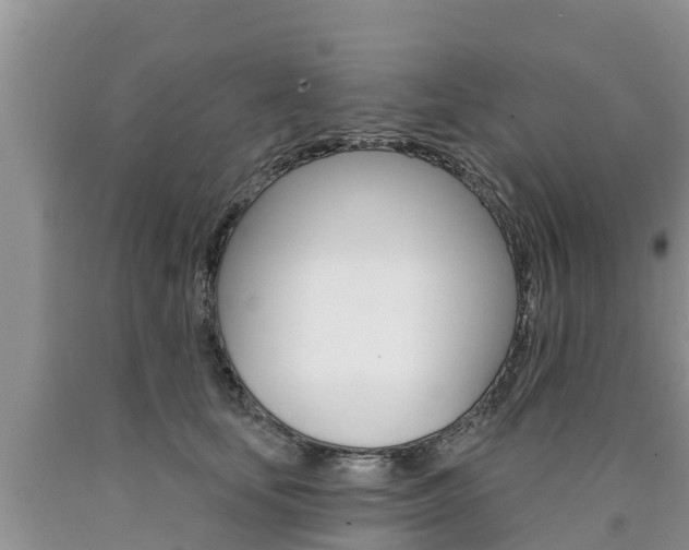 X0000090770659200707201115
