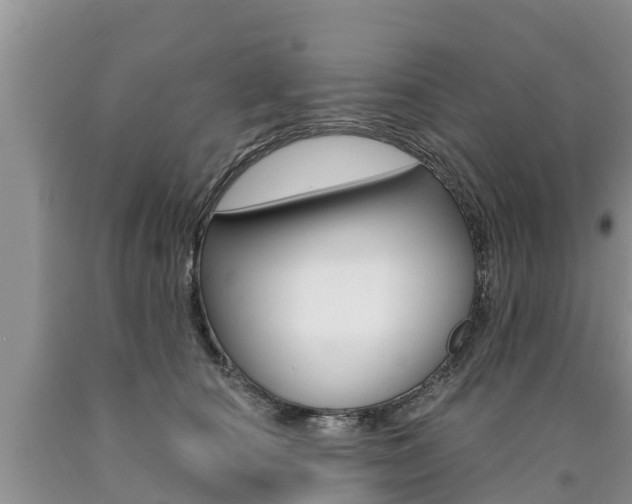 X0000090770660200707201115