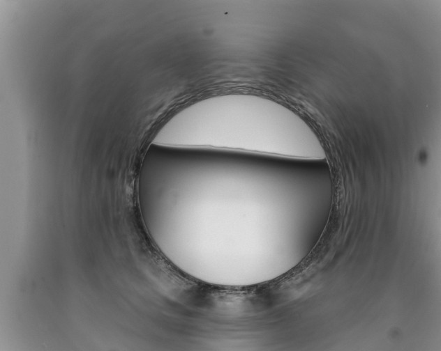 X0000090770661200707201115