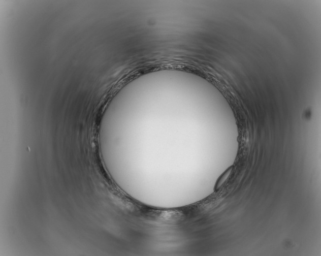 X0000090770663200707201115