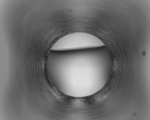 X0000090770664200707201115