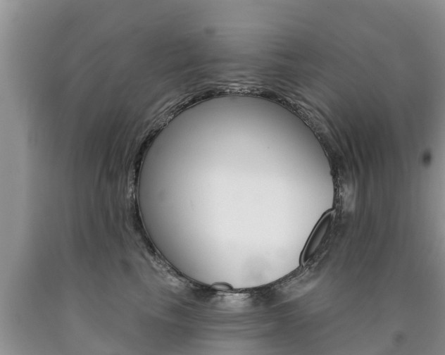 X0000090770665200707201115