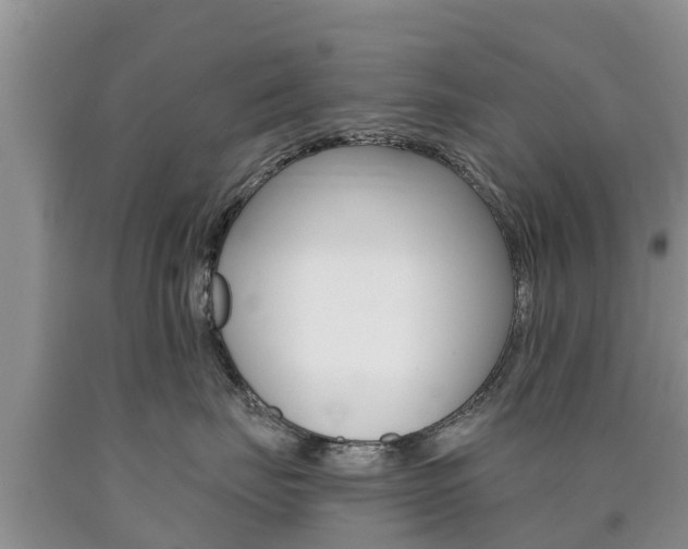 X0000090770671200707201115