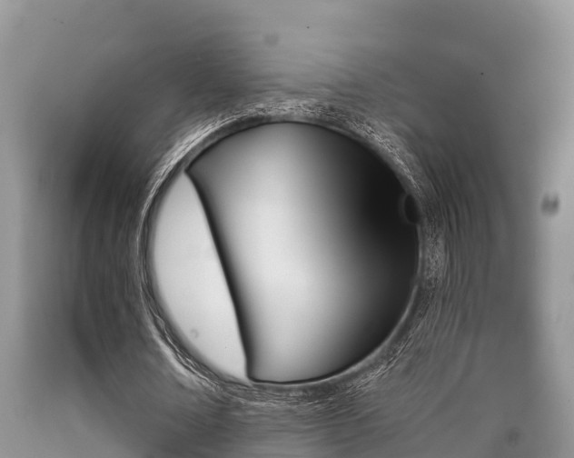 X0000090770674200707201115