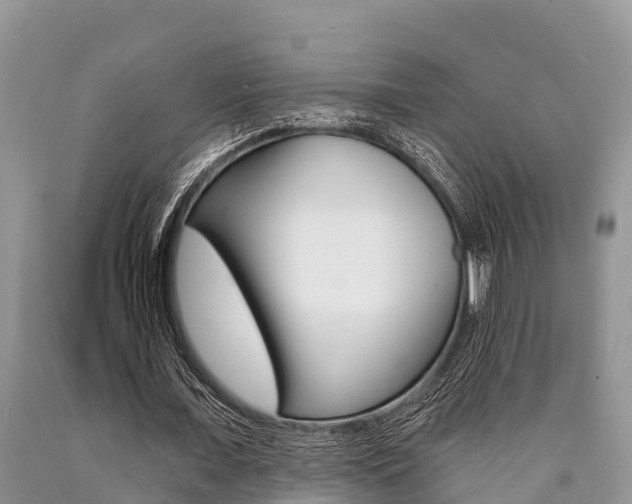 X0000090770675200707201115