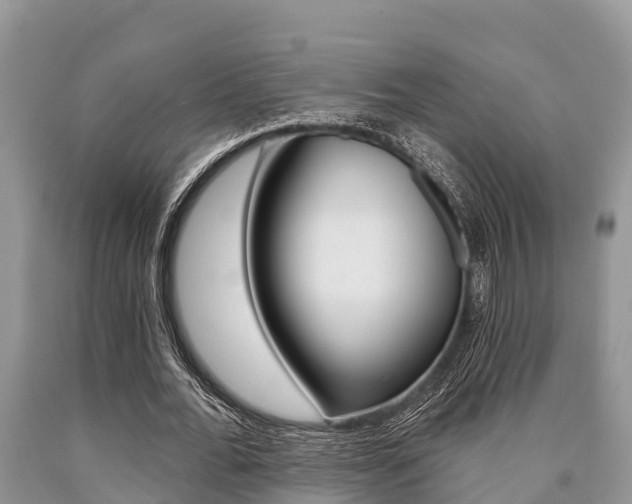 X0000090770676200707201115
