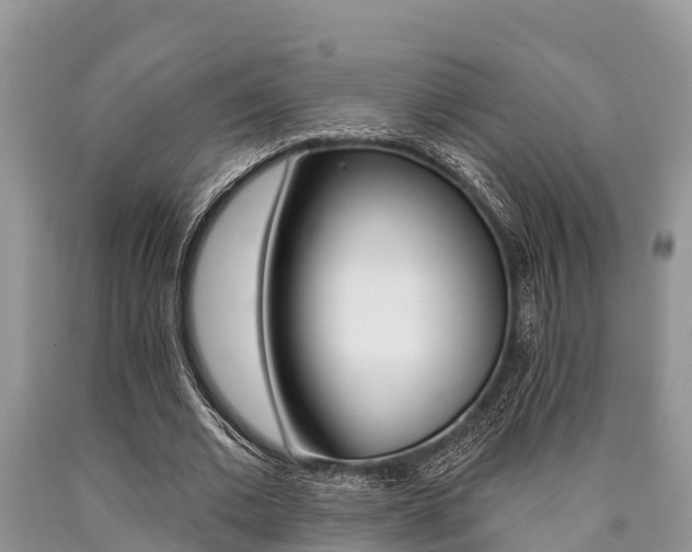 X0000090770677200707201115