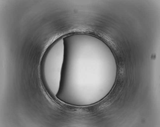 X0000090770678200707201115