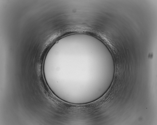 X0000090770679200707201115