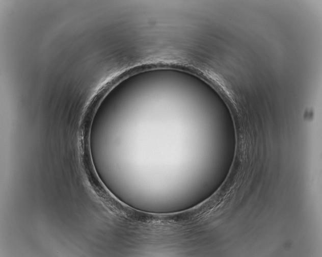 X0000090770680200707201115