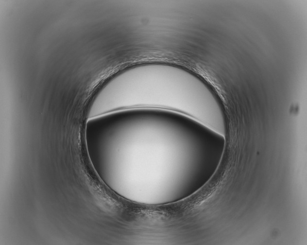 X0000090770681200707201115