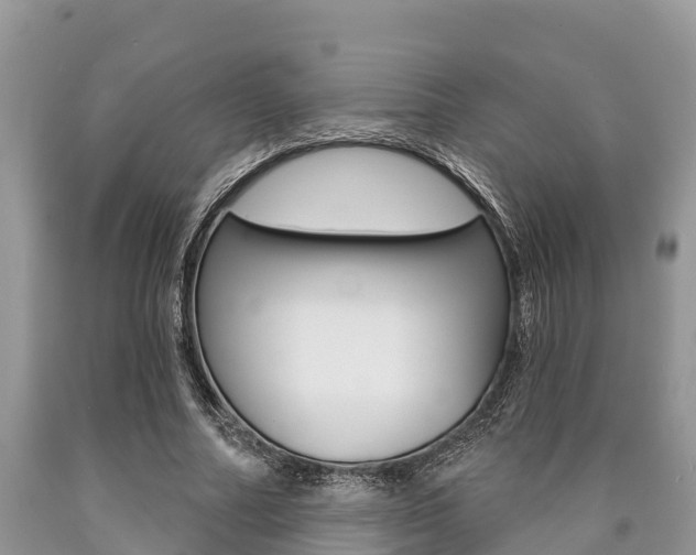 X0000090770682200707201115