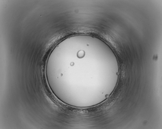 X0000090770683200707201115