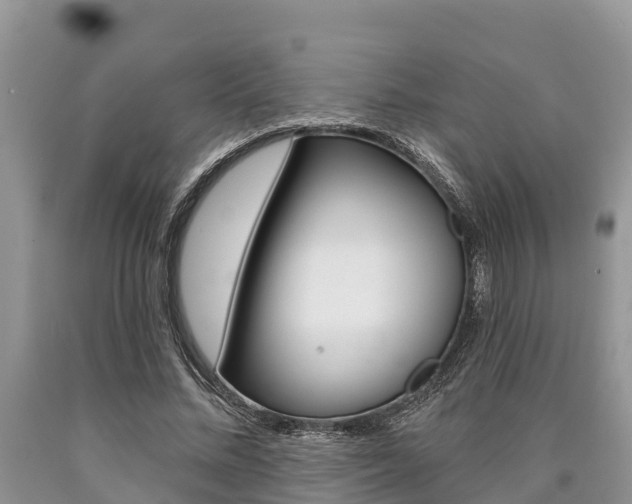 X0000090770684200707201115