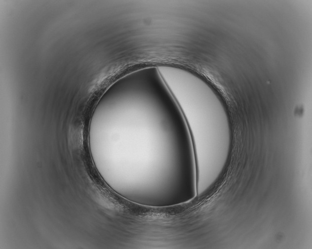 X0000090770685200707201115