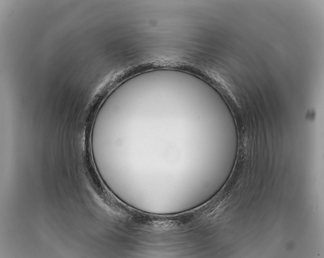 X0000090770686200707201115