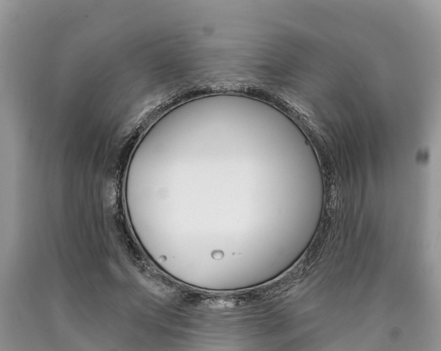 X0000090770687200707201115