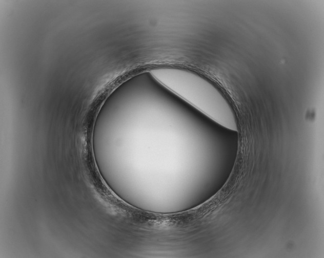 X0000090770688200707201115