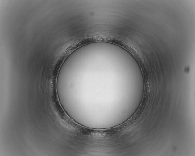 X0000090770690200707201115