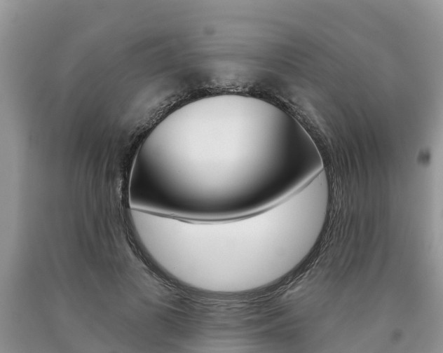 X0000090770693200707201115
