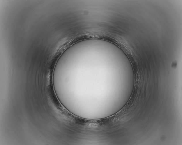 X0000090770694200707201115