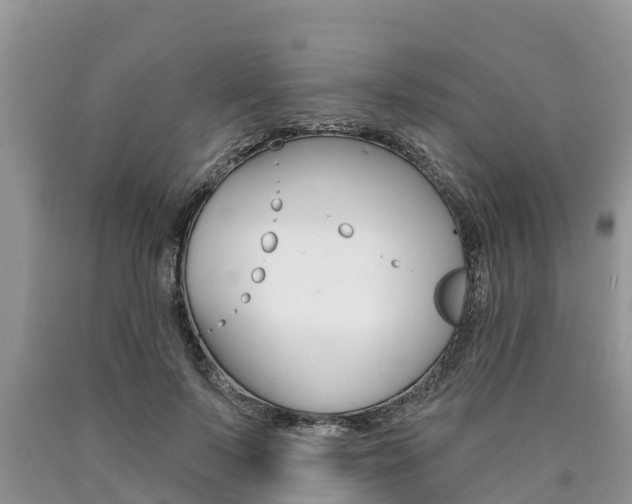 X0000090770695200707201115