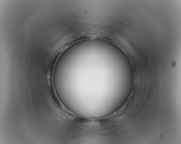 X0000090770696200707201115