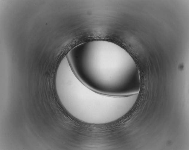 X0000090770697200707201115
