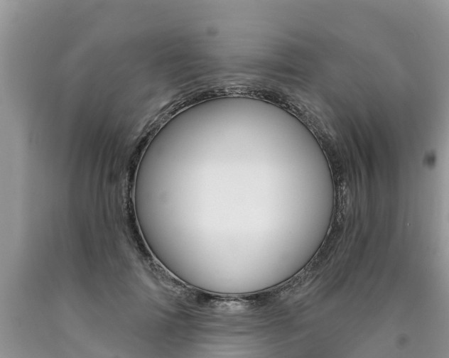 X0000090770698200707201115