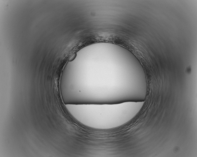 X0000090770699200707201114