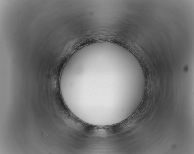 X0000090770706200707201114